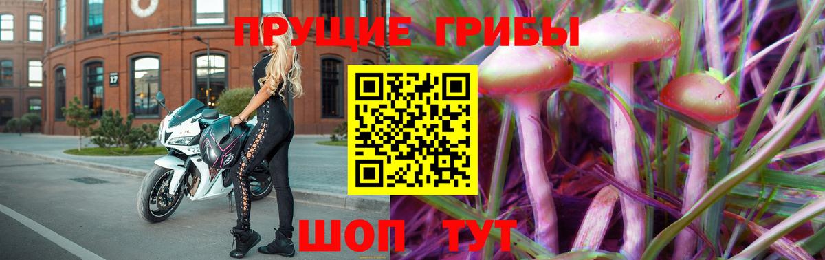 Псилоцибиновые грибы Psilocybine cubensis Муравленко